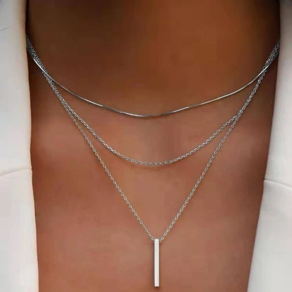 pinklabelco Jewelry - Silver layered necklace